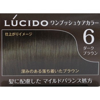 루시도 원푸시 케어 컬러 6 다크브라운 1제50g・2제50g 만담