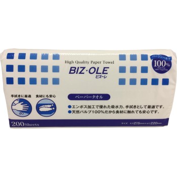 비주레 페이퍼 타올 레귤러 200W 알보