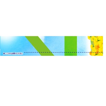 참나푸 흡수 사라피 팬티라이너 소취 타입 68매 유니참