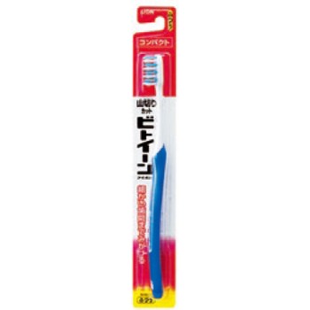 비투인 라이온 컴팩트 보통 라이온