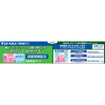 덴트헬스 약용 치약 무연마 겔 115g 라이온