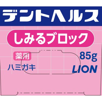 덴트헬스 약용 치약 시림 차단 85g 라이온