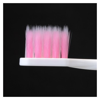 시스테마 잇몸 플러스 칫솔 초 컴팩트 1개 부드러운 라이온