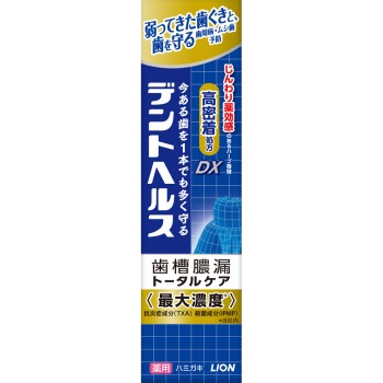 덴트헬스 약용 치약 DX 28g 라이온