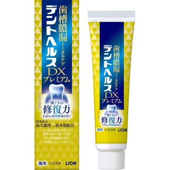 덴트헬스 약용 치약 DX 프리미엄 30g 라이온