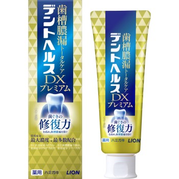 덴트 헬스 약용 치약 DX 프리미엄 90g 라이온