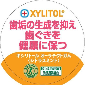 자일리톨 오라테크트 껌 시트러스 민트 슬림 보틀 125g 롯데