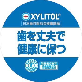 자일리톨껌 프레쉬 민트 패밀리 보틀 133g