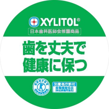 자일리톨 껌 라임민트 패밀리보틀 133g 롯데