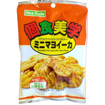 개인식 미학 미니 마요이카 37g