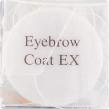 아이브로우 코트 EX 세잔느화장품