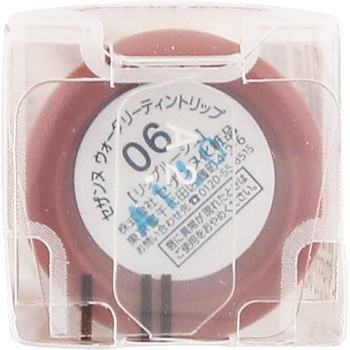 워터리 틴트 립 06 핑크 베이지 세잔느화장품