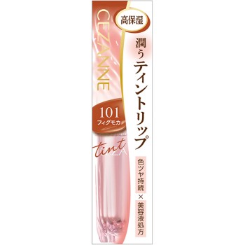 세잔느 라스팅글로스립N 101 피그모카
