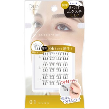 퀵익스텐션 01 _ 디아업