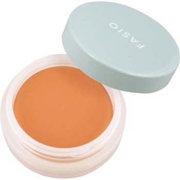 파시오 울트라 커버 아이 컨실러 WP 00 오렌지 베이지 10g 코세