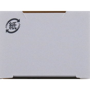 에스프리크 스피드 피니시 세럼 BB 커버 01 라이트 베이지 30g 코세