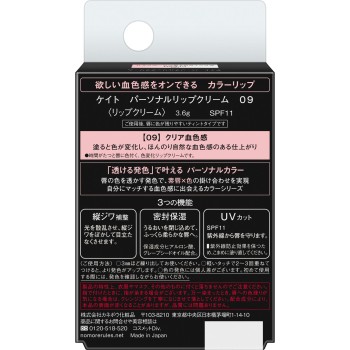 케이트 퍼스널립크림 09 3.6g 가네보