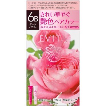 에비타 트리트먼트 헤어 컬러 6B 45g+45g