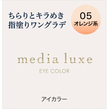 미디어 뤽스 아이 컬러 05 1g 가네보