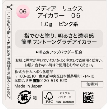 미디어 럭스 아이컬러 06 1g 가네보