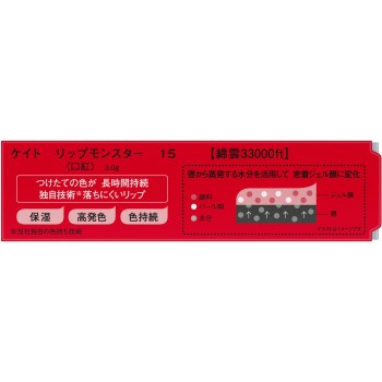 케이트 립 몬스터 15 3g 가네보