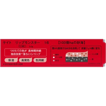 케이트 립 몬스터 16 3g 가네보