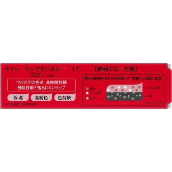 케이트 립 몬스터 17 3g 가네보