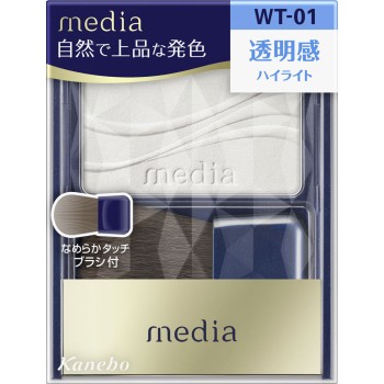 미디어 브라이트업 치크 S WT-01 2.8g 가네보