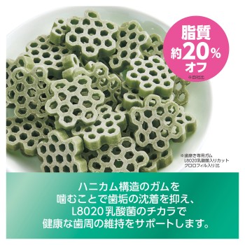 곤타 양치 전용 껌 L8020 C 클로로 저지방 120g