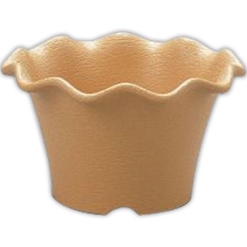 소레시아 컵 25형 OB