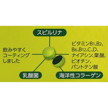 스피루리나 NEXT 1000T DIC 라이프텍