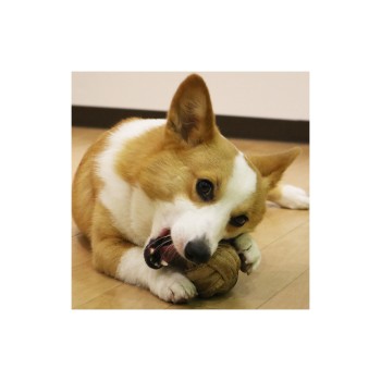 소가죽 로프 장난감 볼 도기맨하야시