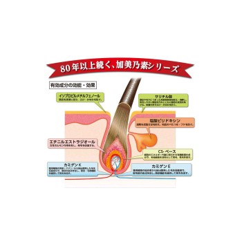 강력카미노소A 무향 200ml 카미노소 혼포