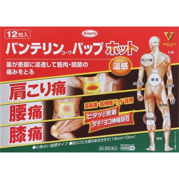 반테린코와 팝 핫 12매 코와