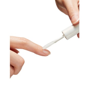 데이케어오일 6ml 코와