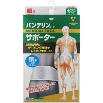 반테린코와 서포터 허리용 남녀공용 샤이닝그레이 보통 코와