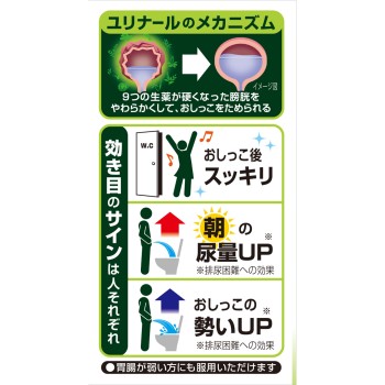 유리나르b 60정 고바야시제약