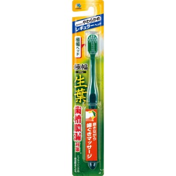 생잎 극폭 브러쉬 부드러움 1본 고바야시제약