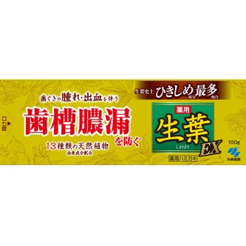 이쿠하 EX 100g 고바야시제약