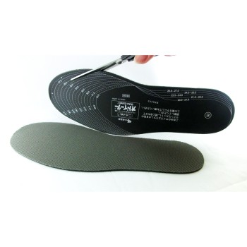 은과 숯의 오도이터 1족 고바야시제약