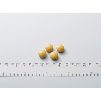 비스렛 그란EX 방풍통성산정 252정 고바야시제약