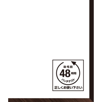 비겐 오일팩 컬러 2NB 더 밝은 내추럴 브라운 55g+55g 호유