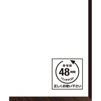 비겐 오일팩 컬러 5NB 내추럴 브라운 55g+55g 호유