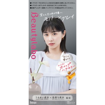 뷰티라보 휘핑 헤어컬러 모노톤그레이 40ml+80ml 호유