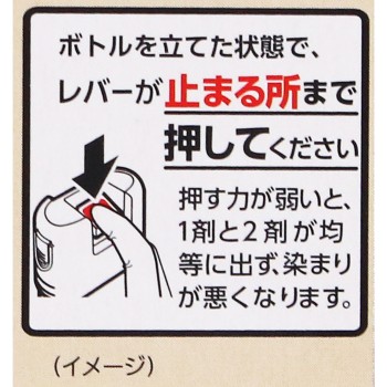 비겐 폼 크림 컬러 2N 브라이트 브라운 90g+5ml 호유