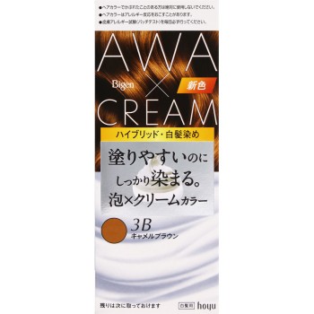 비겐 거품크림컬러 3B 캐멀브라운 90g+5ml 호유