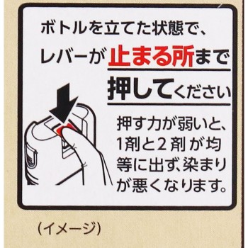 비겐 거품크림컬러 3B 캐멀브라운 90g+5ml 호유