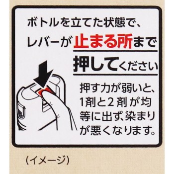 비겐 거품 크림 컬러 5A 다크 애쉬 90g+5ml 호유