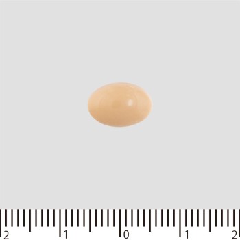 알가드 비염 내복약 골드Z 10캡슐 로토제약