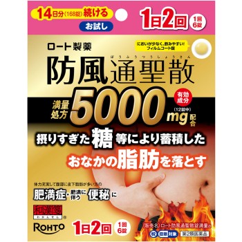 로트 방풍통성산정 만량a 168정 로토제약